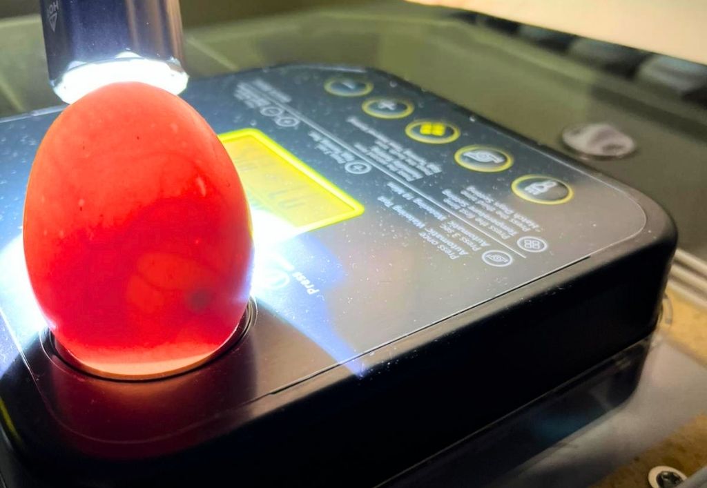 News (3)_Kita Hutbergstrolche_Frühling.jpg