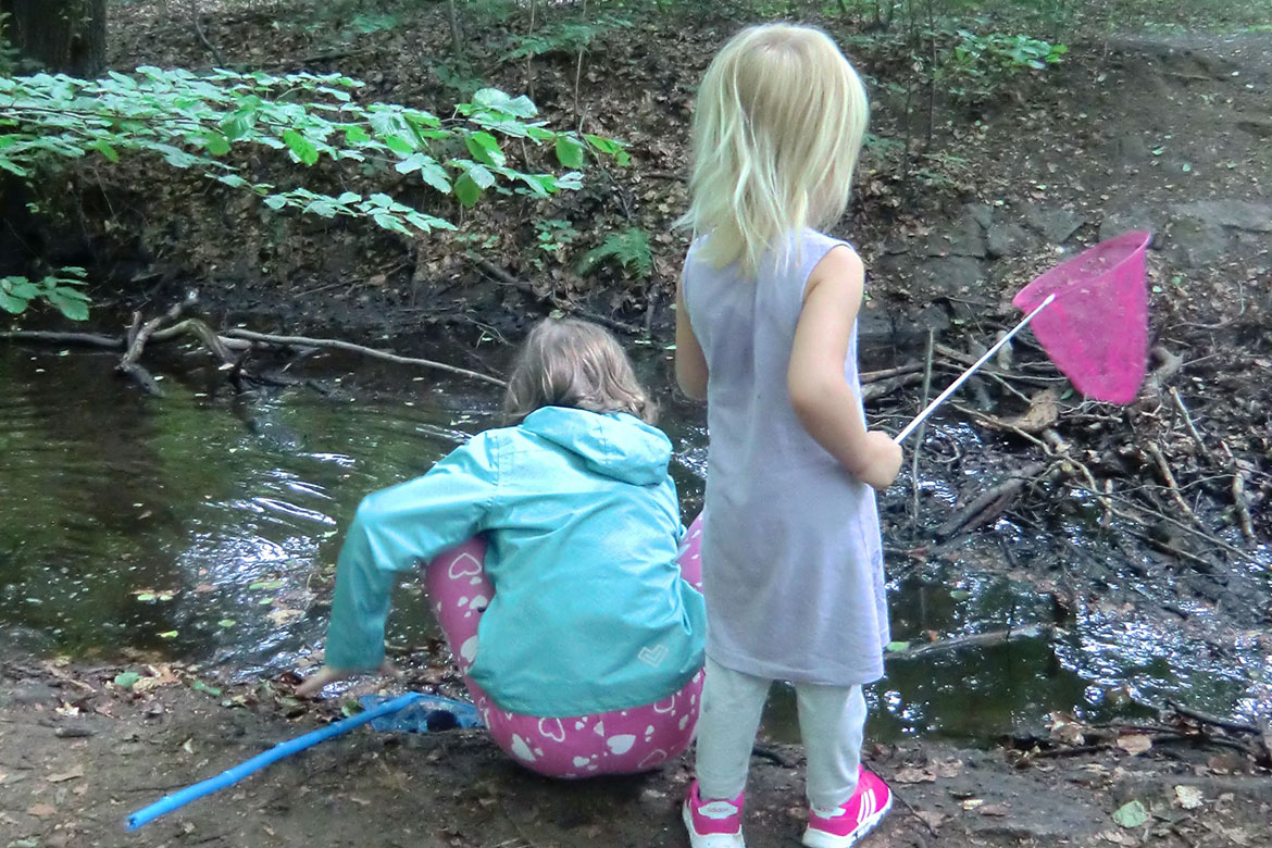 Kinder spielen in der Natur_Kita Elblandzwerge_web©ASB Dresden und Kamenz gGmbH.jpg