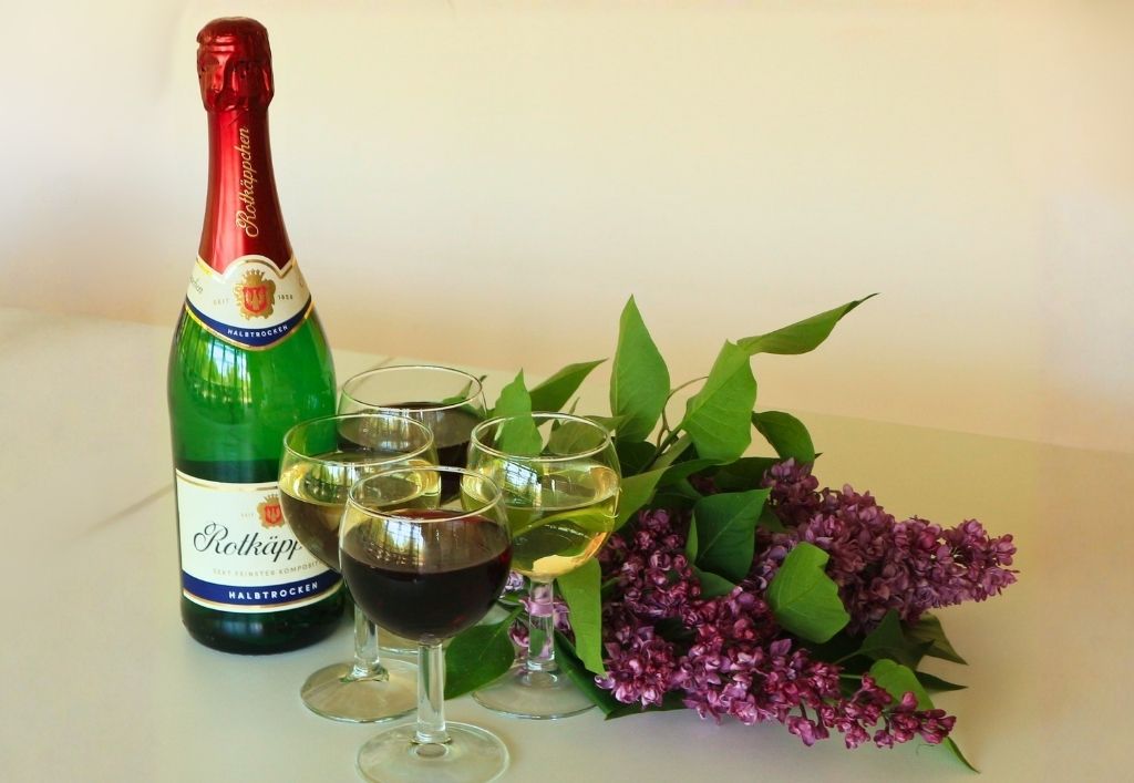 Musik, Blumen und gemeinsame Momente in Königsbrück
