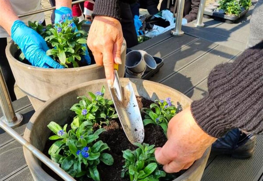 News (4)_BBZ Luise_Vergiss mein nicht Tag.jpg