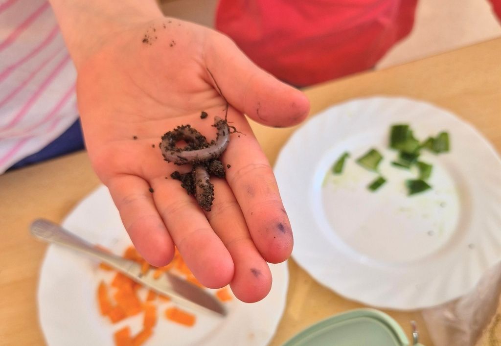 Abenteuer Regenwurm in der Kita „Elblandzwerge