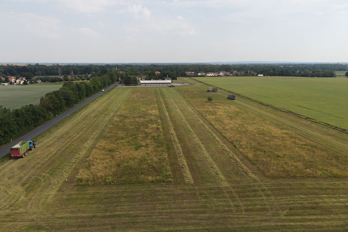 Wiese Gefluegelhof Grossenhain_1_web©ASB Dresden und Kamenz.jpg