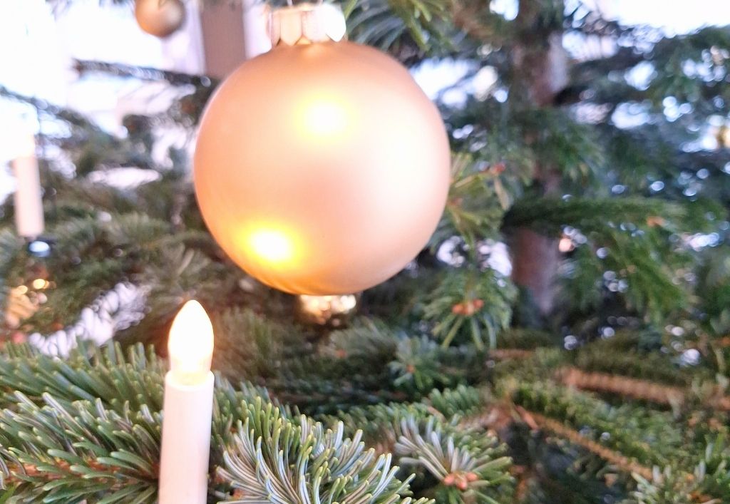 News (6)_SH-Gorbitz_Weihnachtsbaum.jpg