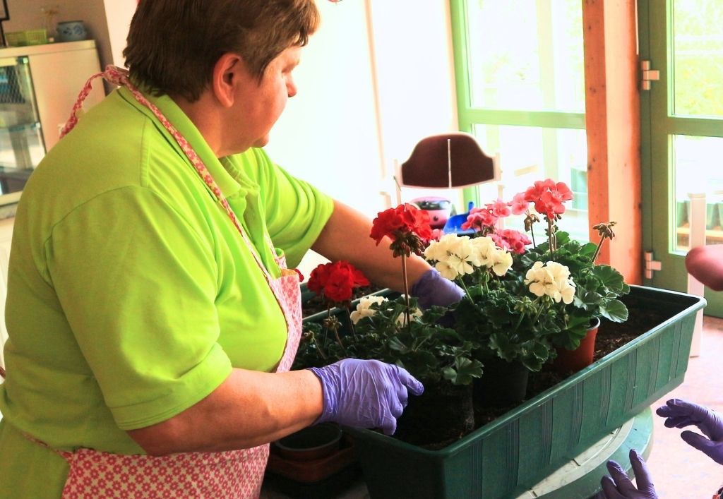 News (4)_PH Königsbrück_Muttertag & Blumen.jpg