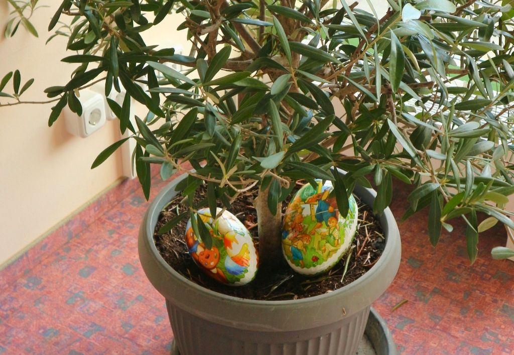 News (4)_PF Königsbrück_Ostern.jpg