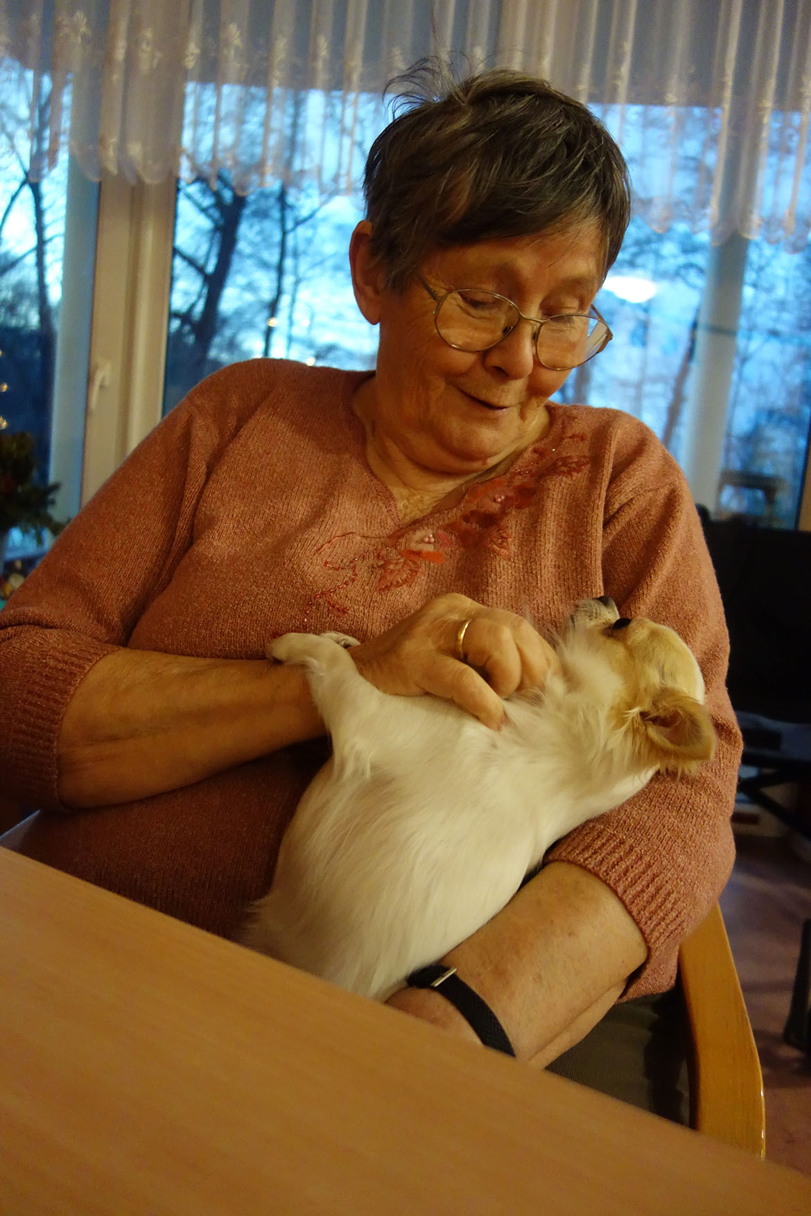 Hund mit Bewohnerin_Fr. Nieswand_Pflegeheim Bernsdorf_web©ASB Dresden und Kamenz gGmbH.jpg