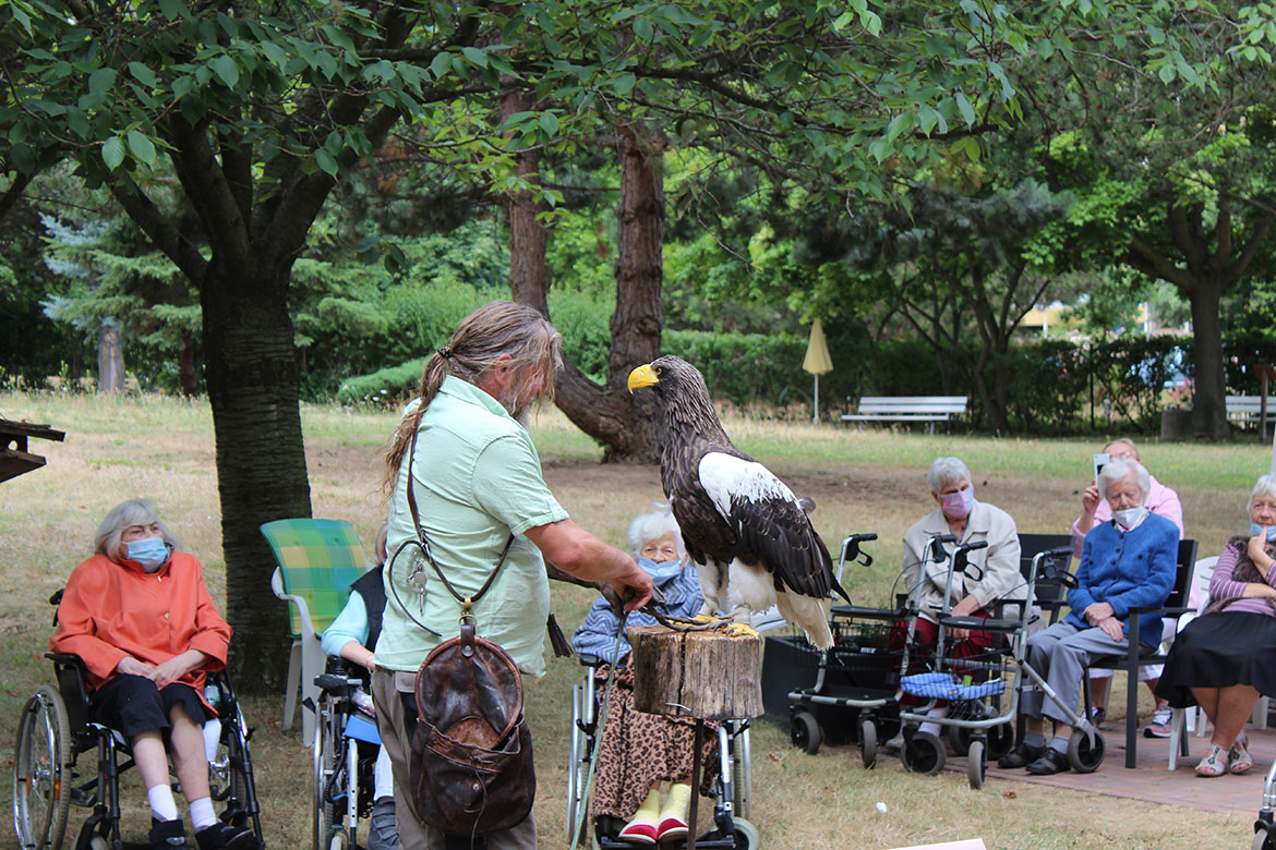 Falknershow Gorbitz Juli 2022_web©ASB Dresden Kamenz gGmbH 10.jpg