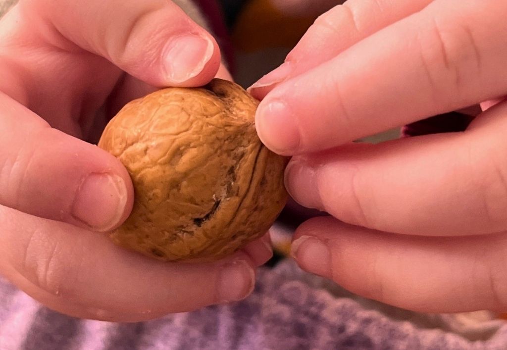 News (8)_Kita ZurBimmelbahn_Theater.jpg