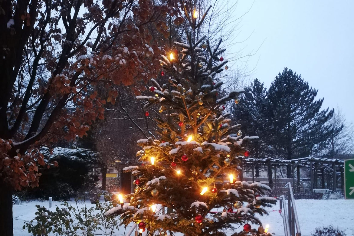 Weihnachtsmarkt_HDG_web©ASB Dresden und Kamenz gGmbH (8).jpg