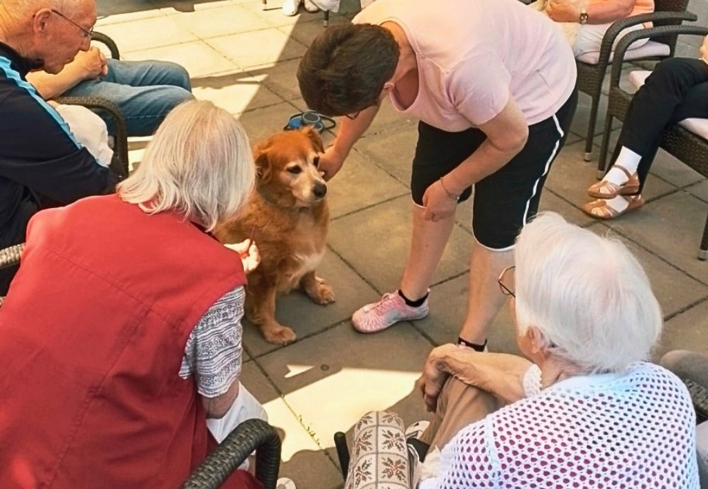 News (7)_TP Radeberg_Hundebesuch.jpg