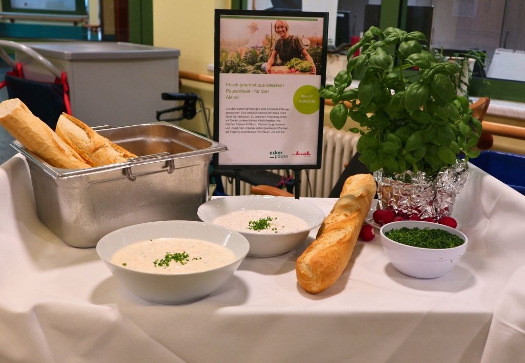 News (2)_PH Königsbrück_Frisch geerntet.jpg