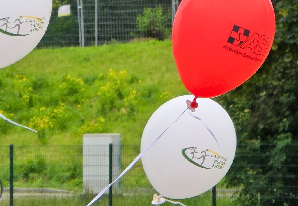 News (8)_Sonnenblumenlauf 2026.jpg