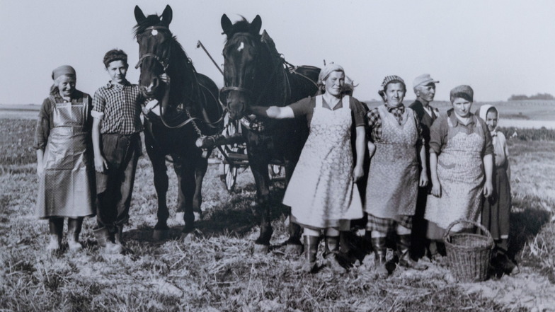 Landwirtschaft,wie_sie_die_Tagespflegegaeste_frueher_selbst_miterlebten©DanielSchaefer.jpg