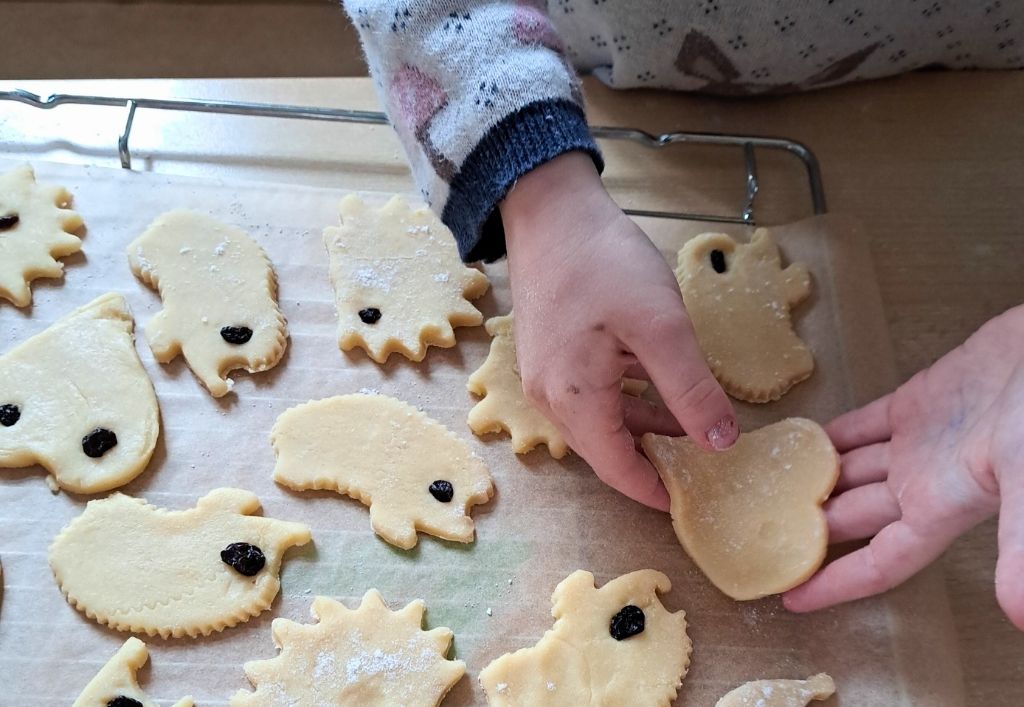 News (2)_Kita-Elblandzwerge_Igel-Projekt.jpg