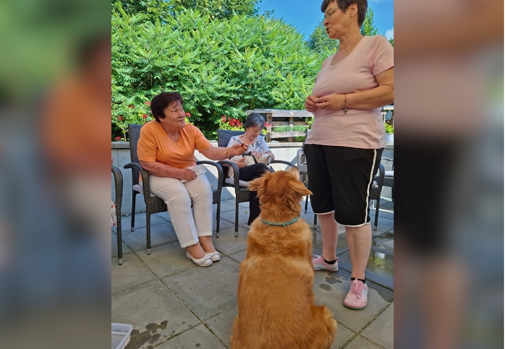 News (3)_TP Radeberg_Hundebesuch.jpg