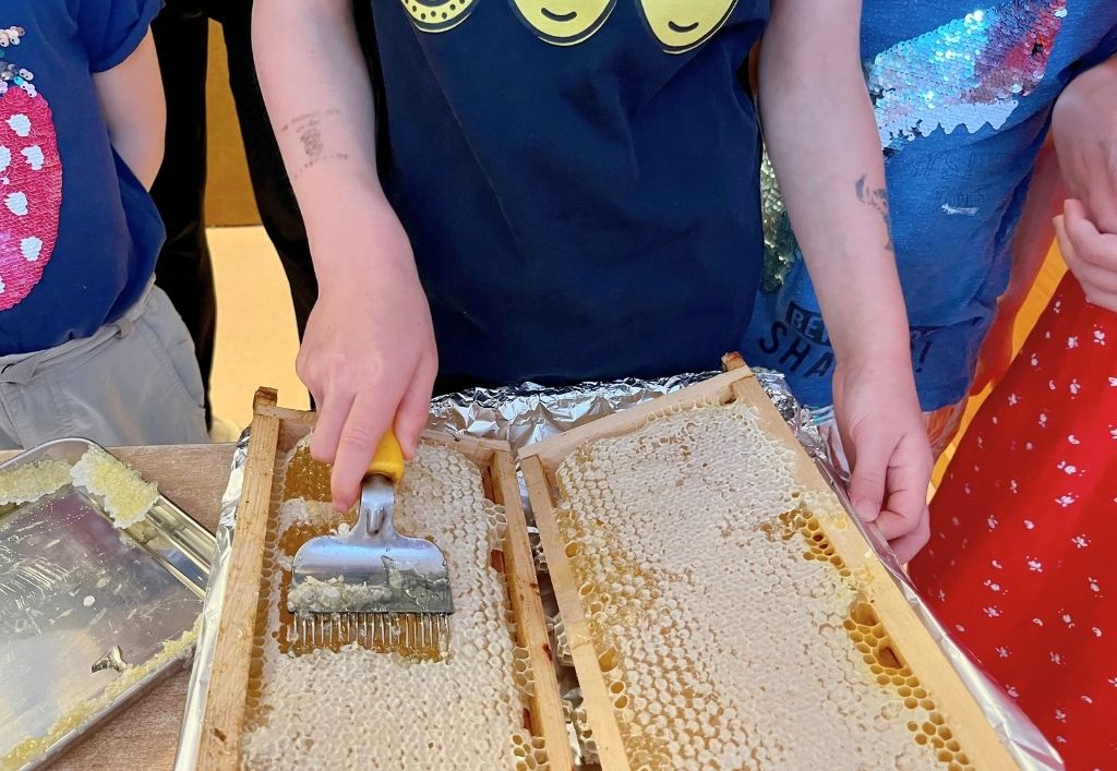 News (3)_Elblandzwerge_Insektenprojekt.jpg