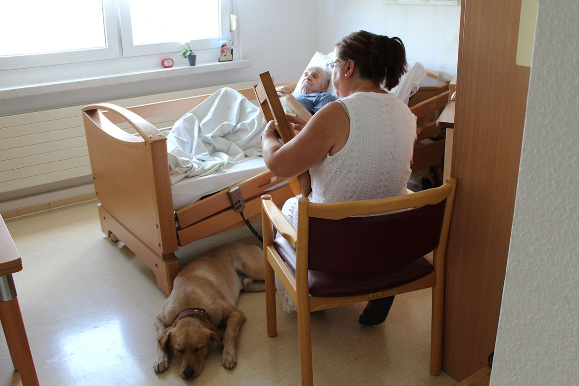 Kerstin Knabe spielt am Bett eines Bewohners auf ihrer Leier, mit dabei ihr Hund Coffee