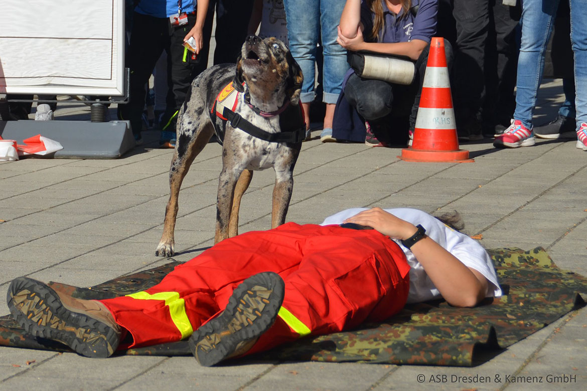 Anzeige_Paula_RHS_web©ASB Dresden und Kamenz gGmbH.jpg