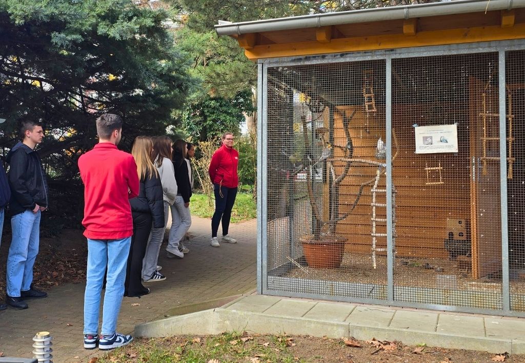 News (5)_SchauRein2026.jpg