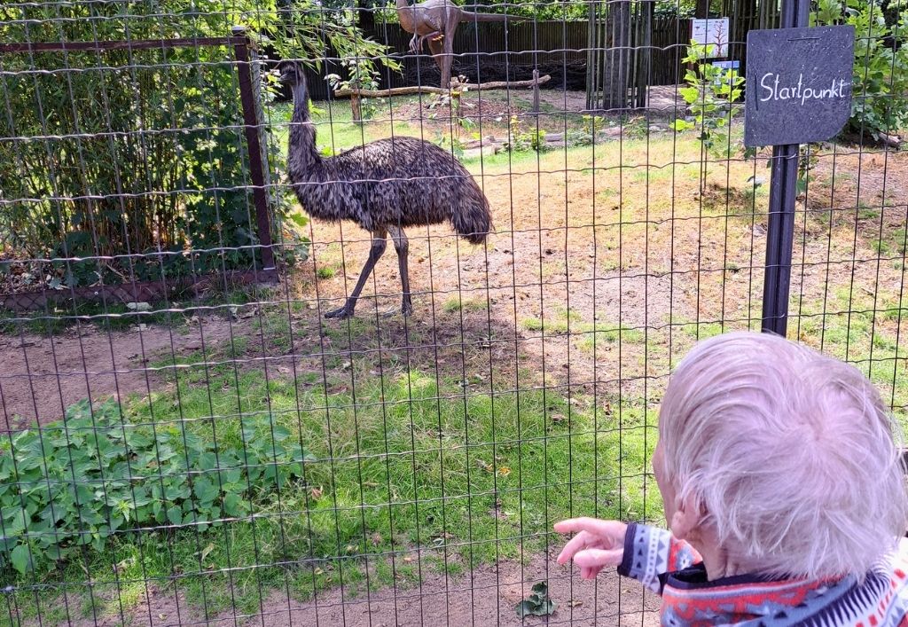 News (4)_PH-Bernsdorf_Zoo Hoyerswerda.jpg