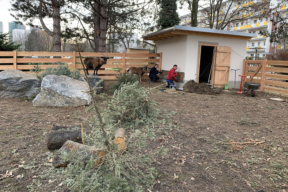 Fertigstellung neuer Minizoo HDG_web©ASB Dresden und Kamenz gGmbH (4).jpg