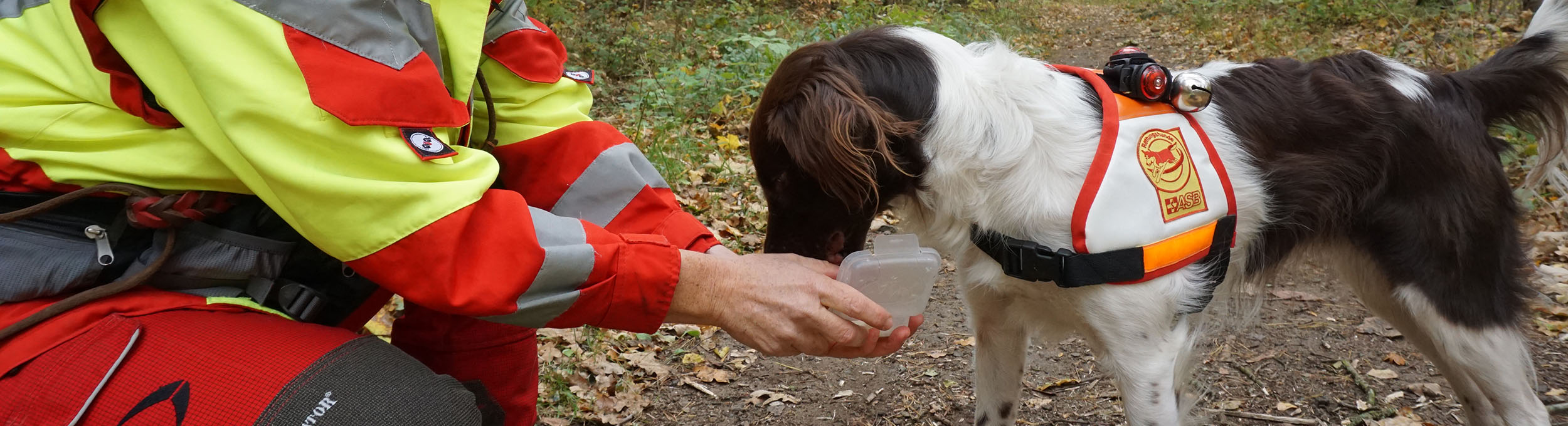 Rettungshundestaffel beim Training