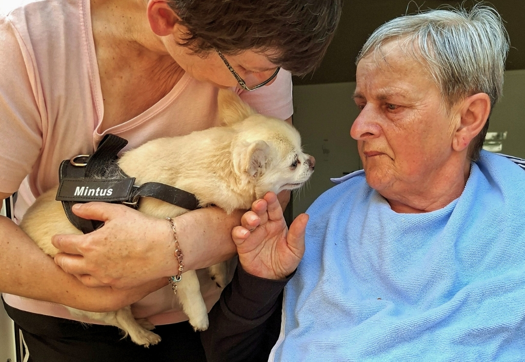News (2)_TP Radeberg_Hundebesuch.jpg