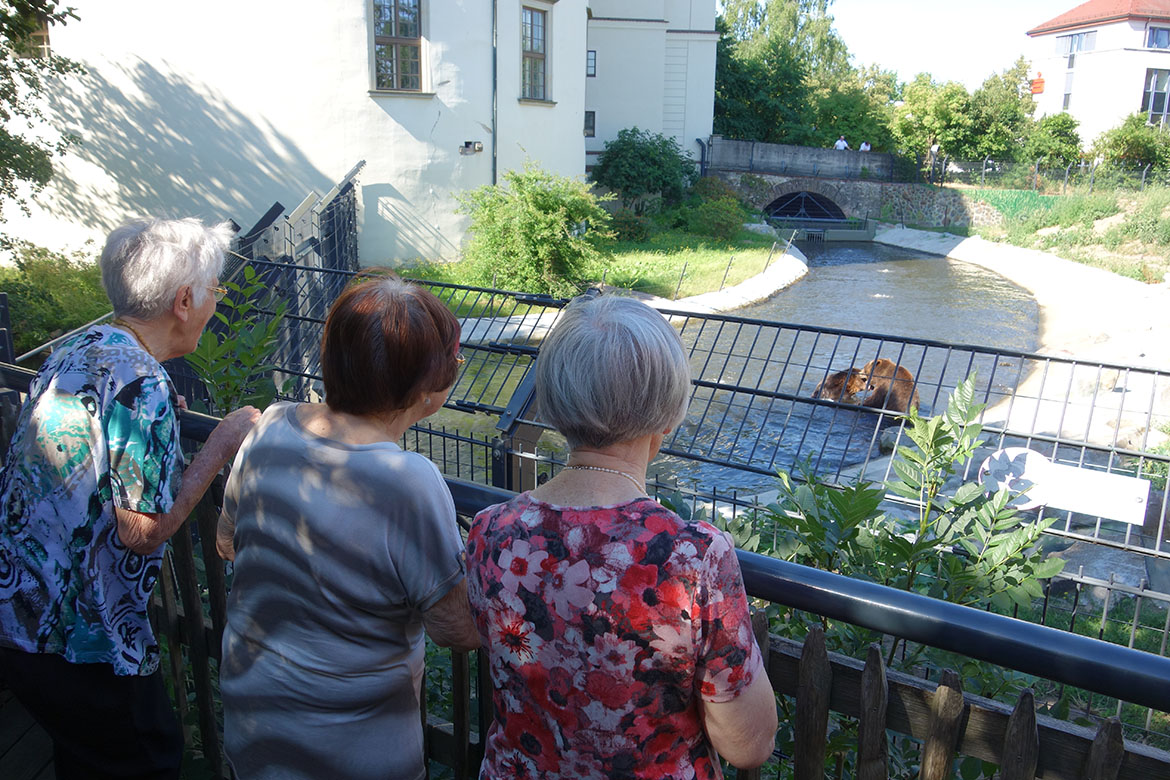 Bewohner im Zoo Hoyerswerda und Baeren_ASB Pflegeheim Bernsdorf_web©ASB Dresden und Kamenz gGmbH.jpg