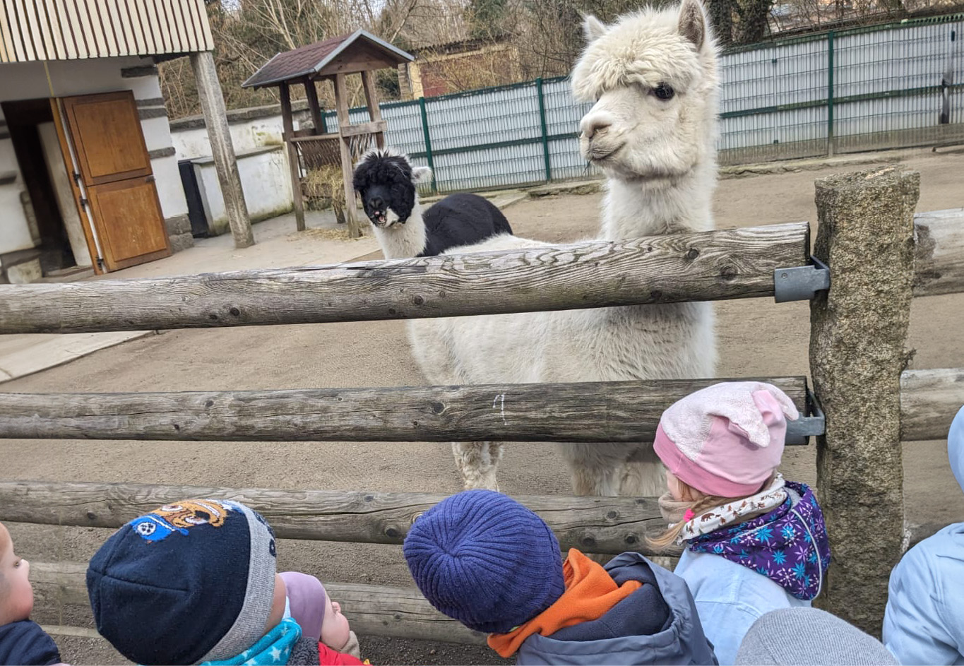 Newsbild_TierparkBischofswerda_.jpg