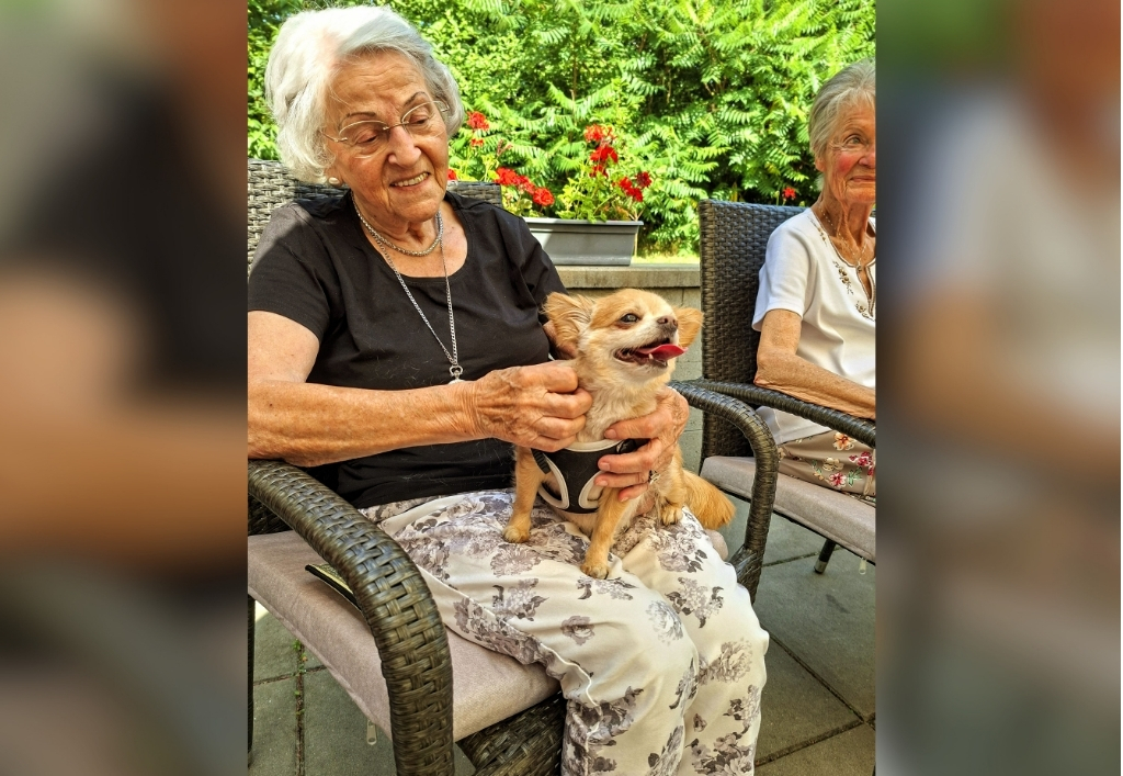 News (5)_TP Radeberg_Hundebesuch.jpg