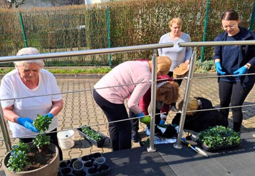 News (3)_BBZ Luise_Vergiss mein nicht Tag.jpg