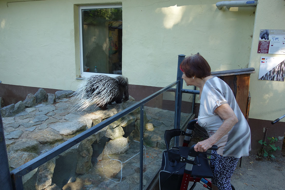 Frau Z. im Zoo Hoyerswerda und Stacheltier_ASB Pflegeheim Bernsdorf©ASB Dresden und Kamenz gGmbH.jpg