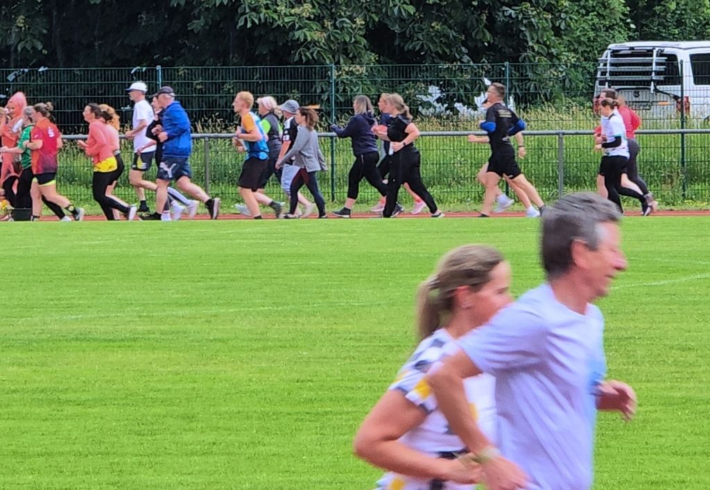 News (3)_Sonnenblumenlauf 2026.jpg
