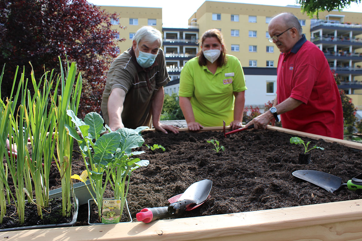 Hochbeete 08.2021_HDG_36_web©ASB Dresden und Kamenz gGmbH.jpg