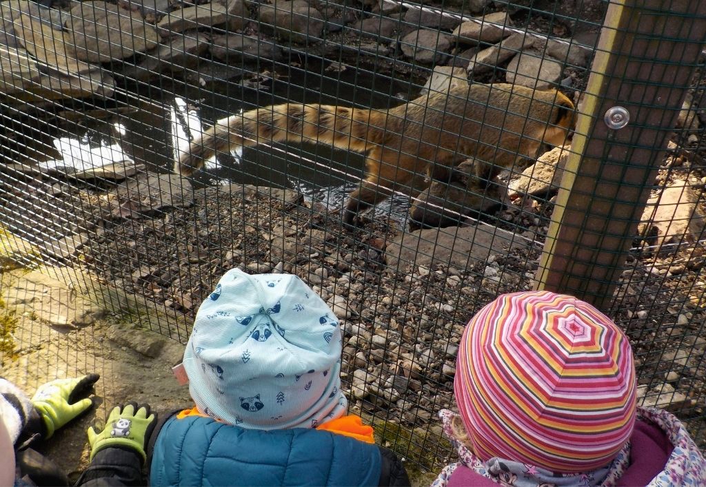 News (2)_Kita Hutbergstrolche_Frühling.jpg