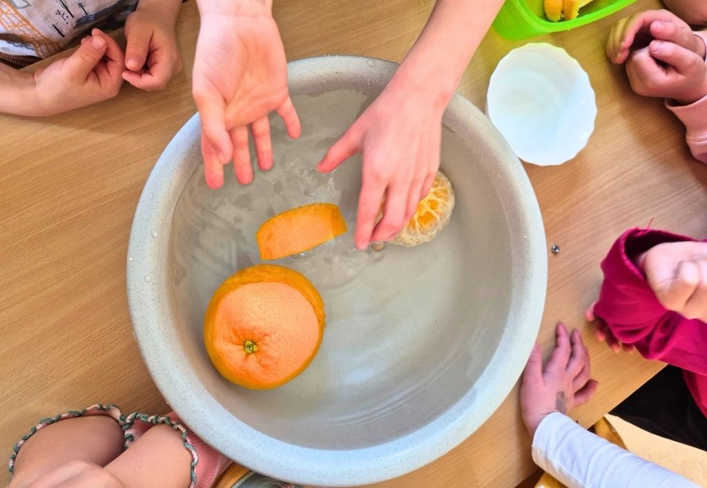 News (3)_Kita Elblandzwerge_Experiment Vorschule.jpg