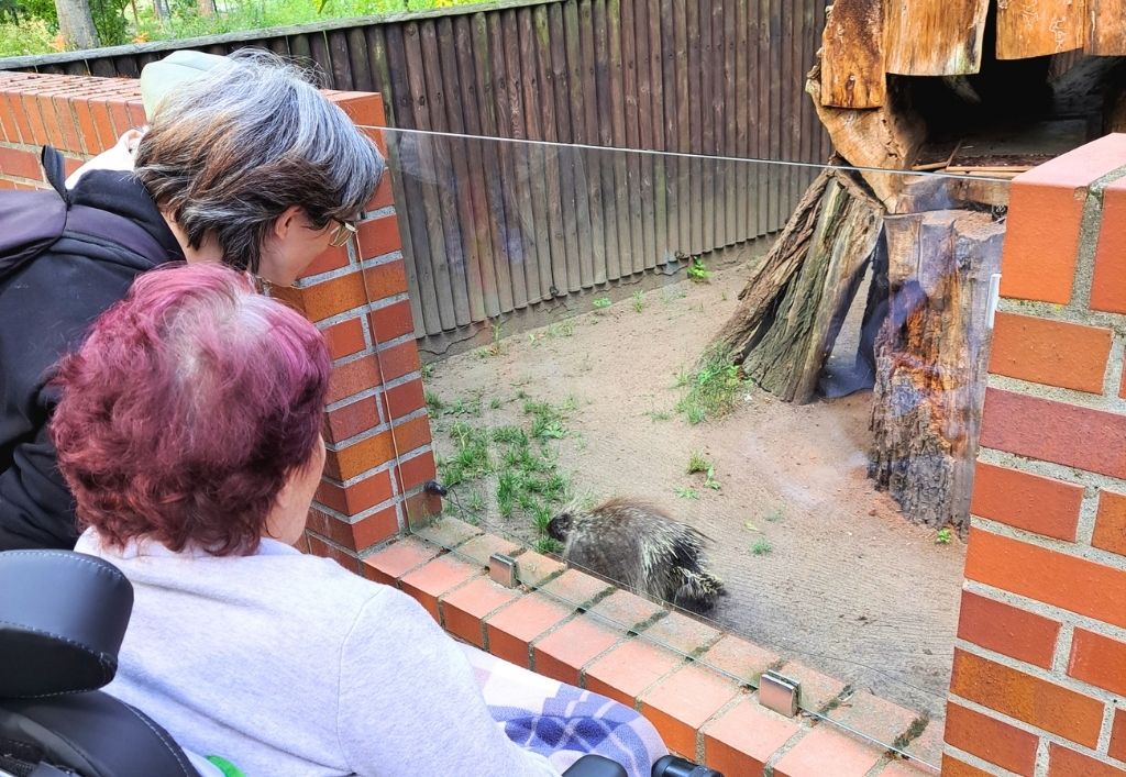 News (2)_PH-Bernsdorf_Zoo Hoyerswerda.jpg