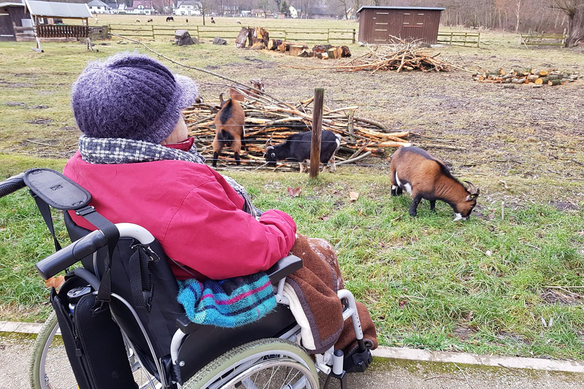 Senioren besuchen Tiergehege in Bernsdorf