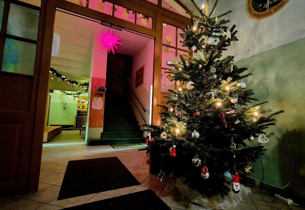 Kita-Wiesenfrösche_Weihnachtsstimmung_News.jpg