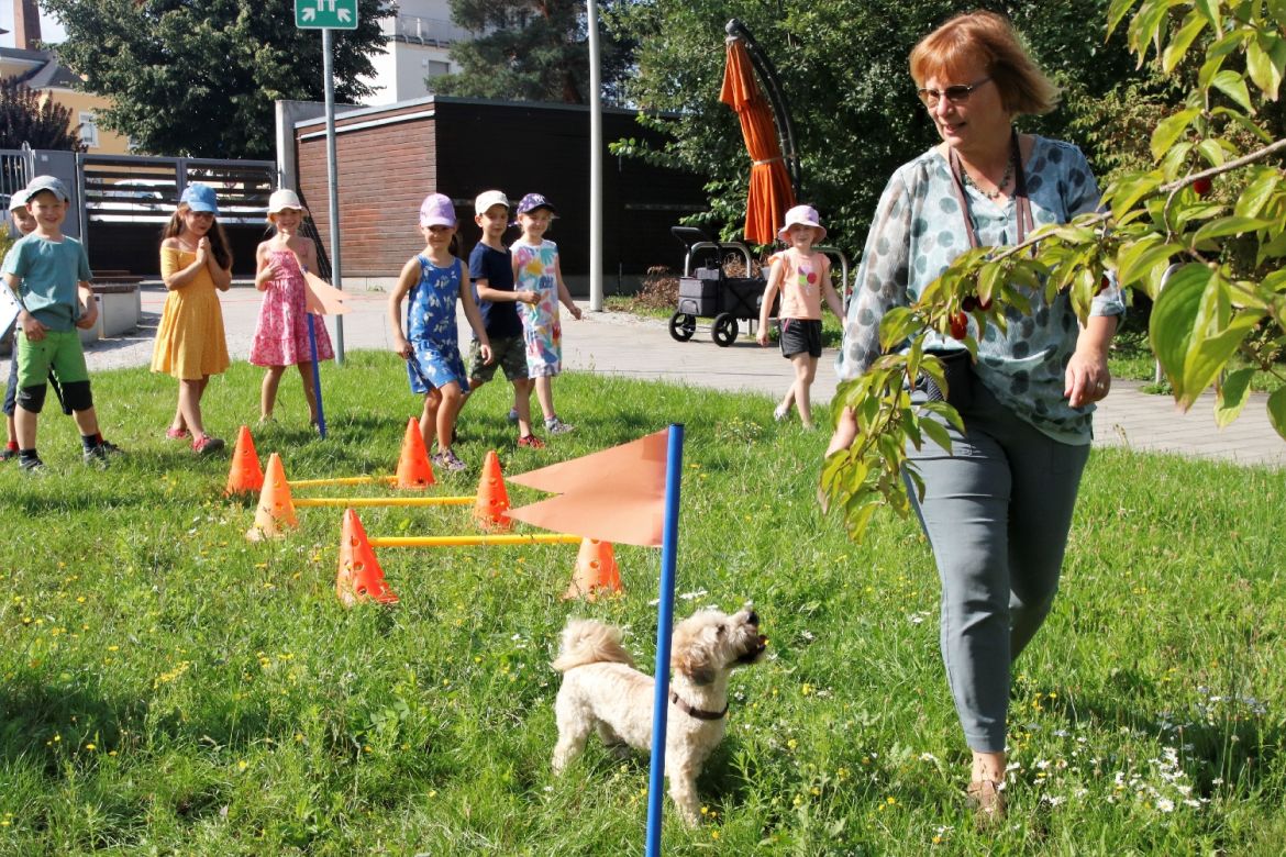 k-ASB Kita Am Lehmberg ein Parcour für Filou 150823.jpg