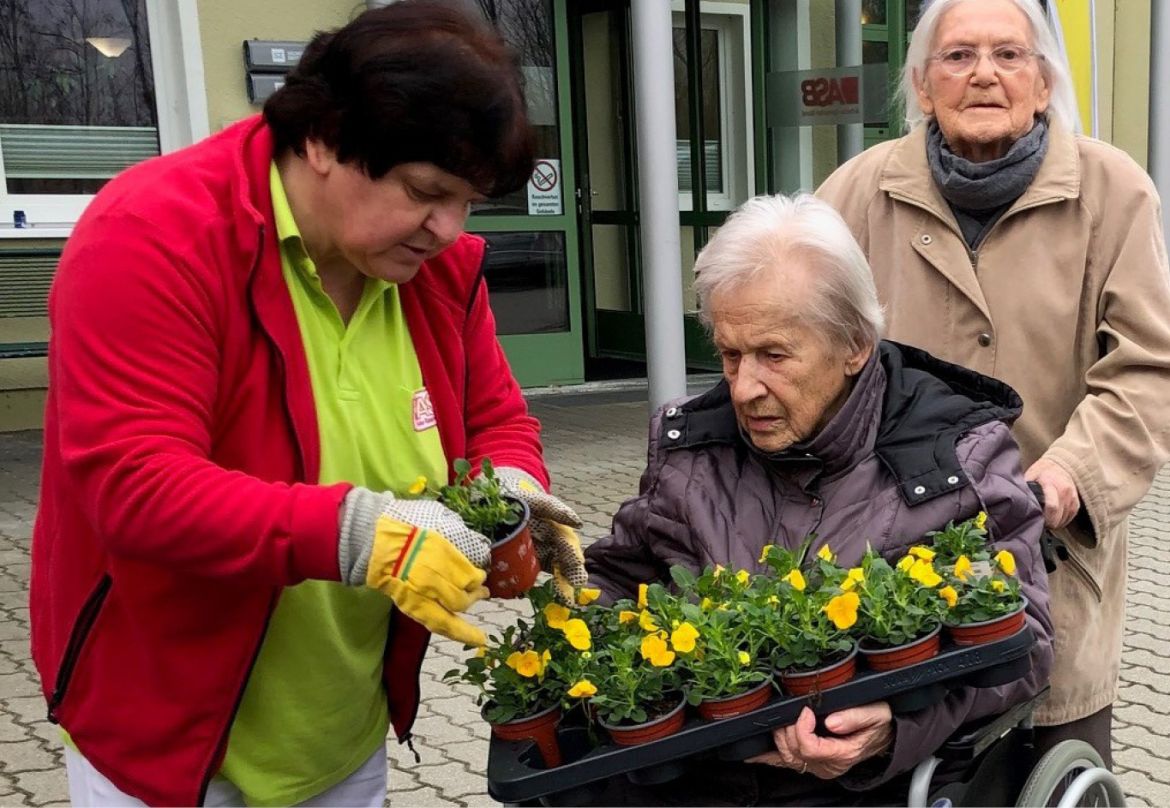 Newsbild_PH-KÖ_Frühblüher_2.jpg